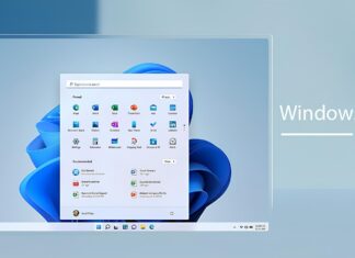Windows 11