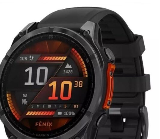 Garmin Fenix 8